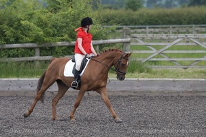 ISIS Dressage Challenge 2008